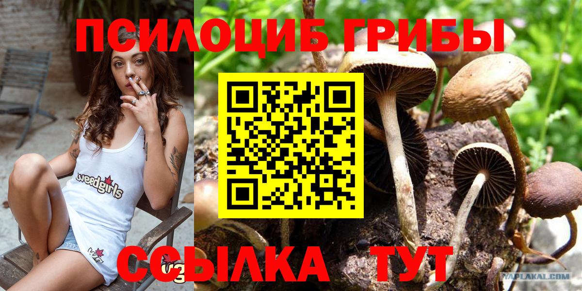 Галлюциногенные грибы мухоморы  где купить наркоту  Трёхгорный  Вход с VPN 