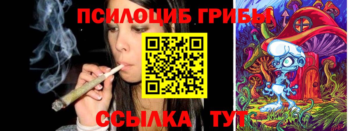Галлюциногенные грибы прущие грибы Трёхгорный